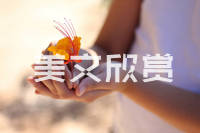 【美文】你是我一生的冒险——龙口网