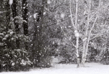 -9℃！龙口来雪了！高速已封、公交、航运都停了！入冬以来最寒冷天气即将到来！！——龙口网