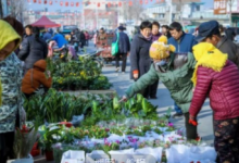 今天，龙口诸由大集正式搬迁！——龙口网