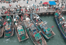 价格降了！龙口海鲜捕捞量增了！赶紧吃起来——龙口网