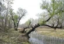 走近龙口这个神秘的洞穴！这些传说你听过吗？——龙口网