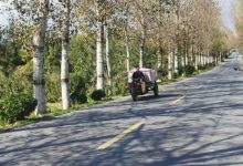 助力乡村振兴！龙口兰高镇的这条农村公路修好啦！——龙口网