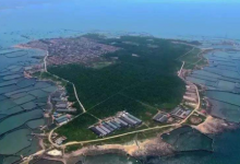 龙口桑岛黄石江的传说，居然与徐福有关... ...——龙口网