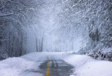 -16℃!龙口中到大雪、局部暴雪,连发2个预警!!——龙口网